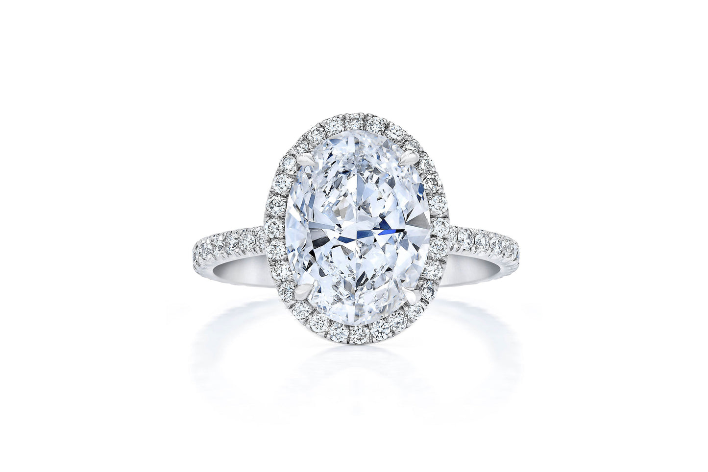 Halo Oval PLT Front 40676590813272