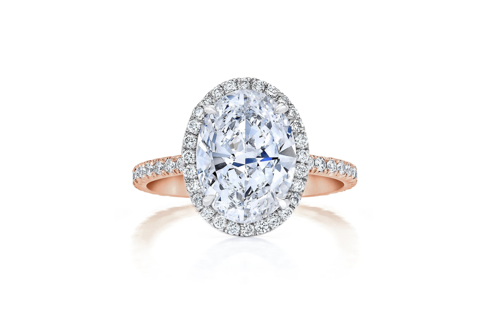 Halo Oval RG Front 40676590878808