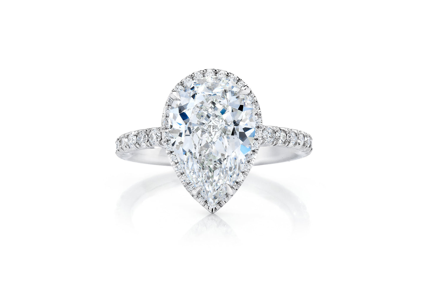 Halo Pear PLT Front 40676591108184