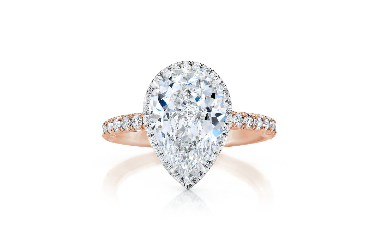 Halo Pear RG Front 40676591206488